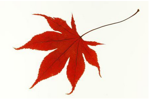 短信群發(fā)平臺(tái)到底安全嗎？