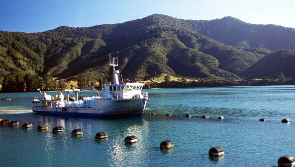 2078198_172012138376_2.jpg 2078198_172012138376_2.jpg